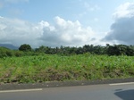 25880P1020299.JPG