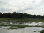 22140DSC00383.JPG