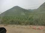 32639CIMG1758.JPG