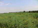 51712CIMG0671.JPG