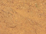 48768CIMG5105.JPG