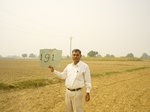 11417gt191-cropland-1.jpg