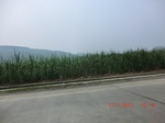 32696CIMG1827.JPG