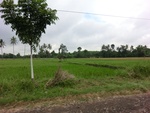 30974CIMG0835.JPG