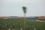 2024-08-05_16-08-58_FB655B6E-3E29-4C30-94D1-3E65F24D57A7.jpeg