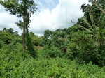 18212P1000048.JPG