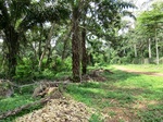 46462CIMG0751.JPG