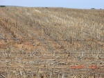29821CIMG1233.JPG