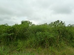 18293P1000129.JPG