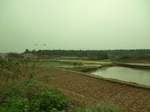 51673CIMG0511.JPG