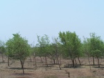 478901052008(60).JPG