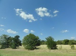 35194DSC02399.JPG