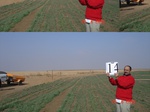 10811gt-014-seasonal-irrigated-irrigted-agriculture-02.jpg