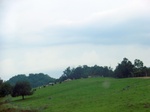 57405CIMG3642.JPG