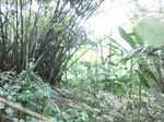 45047CIMG2132.JPG