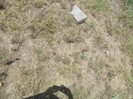 2012-08-31_15-00-49_SAM_3952.JPG