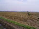 3271R0017305.JPG