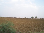 533401052008(29).JPG