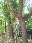 1778324042008(41).JPG