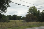 2024-09-24_16-08-21_BCFF89F2-1A79-4BD0-9E3B-C822970B7729.jpeg