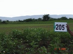 127410205c-rainfed-agriculture-cotton-dominant-gram.gif