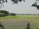 26082DSC01105.JPG
