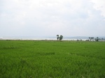 14108IMG_4442.JPG