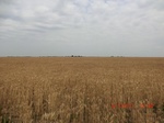 29410CIMG0645.JPG