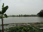 22095DSC00336.JPG