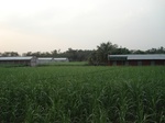 21913DSC08510.JPG