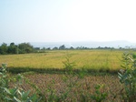 17386100_2072.JPG