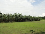 22144DSC00387.JPG