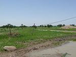 19200P1010046.JPG