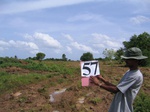 1181857-cropland-sesamum&underpreparation-b.jpg