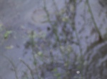 719R0015227.jpg