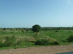 19338P1010184.JPG