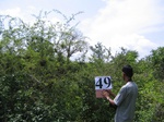 1191949-scruland-dense-3.5m-b.jpg