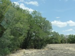 36017DSC02288.JPG
