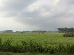 31302CIMG1164.JPG
