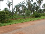 21034P1020905.JPG