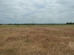 54280P1090076.JPG