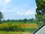57608CIMG4197.JPG