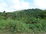 18326P1000162.JPG