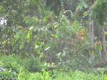 48458CIMG4795.JPG
