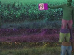 11439009-irrigated-cotton-1b.jpg