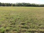 39368CIMG0520.JPG