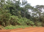49006CIMG5343.JPG