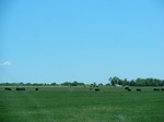 28968CIMG0666.JPG
