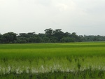 24581DSC00798.JPG