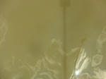 58577CIMG3027.JPG
